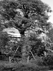 江苏注册公司